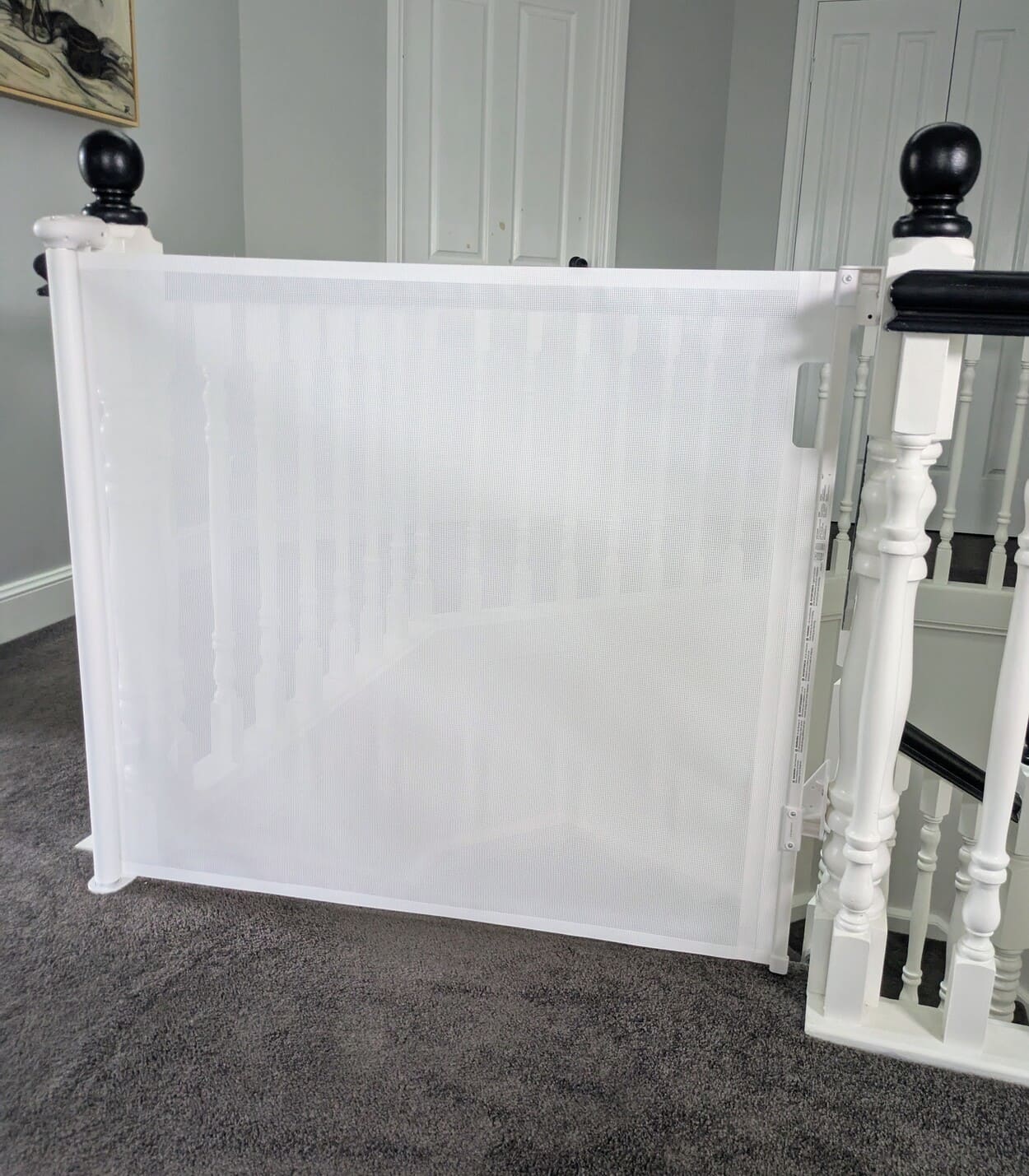 Pxl 20250423 022945141~2